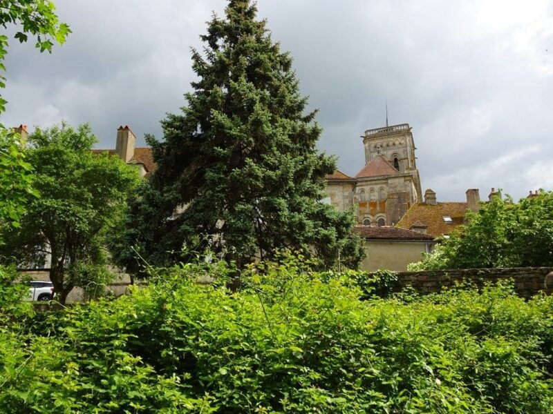 vi2018_j08_24
