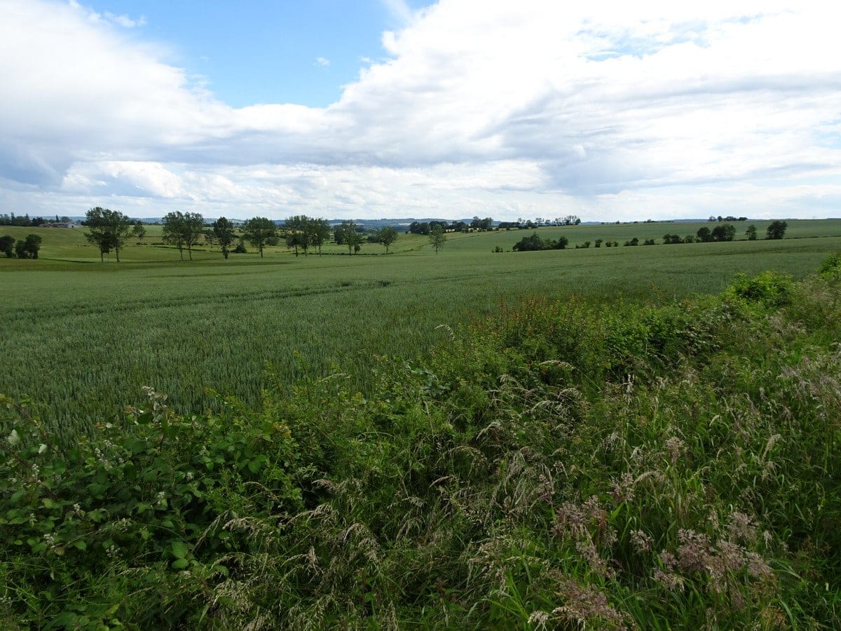 campgne du Bray entre Songeons et Gournay-en-Bray
