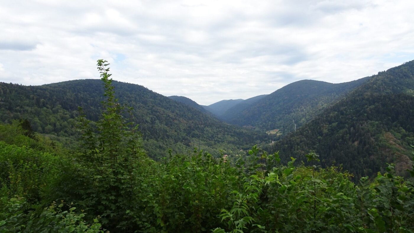vue sur les ballons des Vosges avant Belfahy