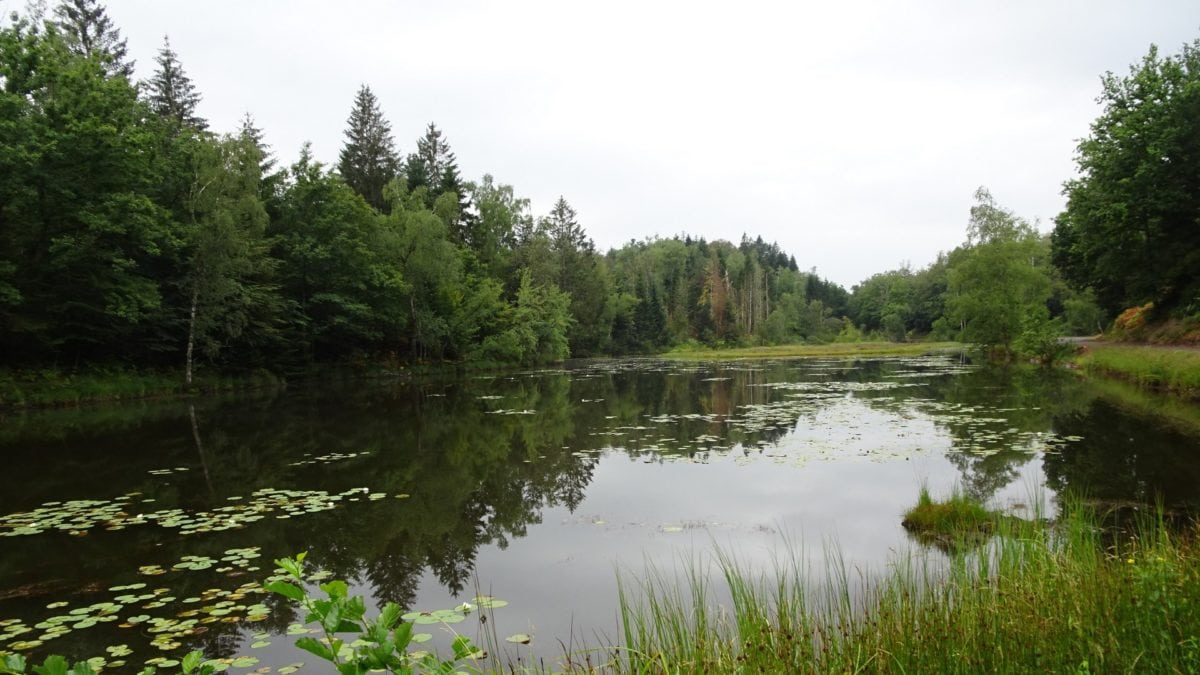 vélo Haute-Saône – route des Mille Étangs