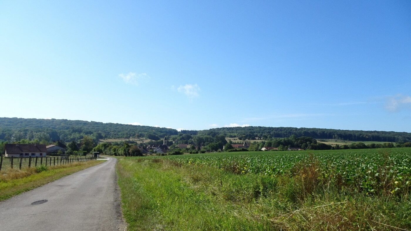 Lambrey
