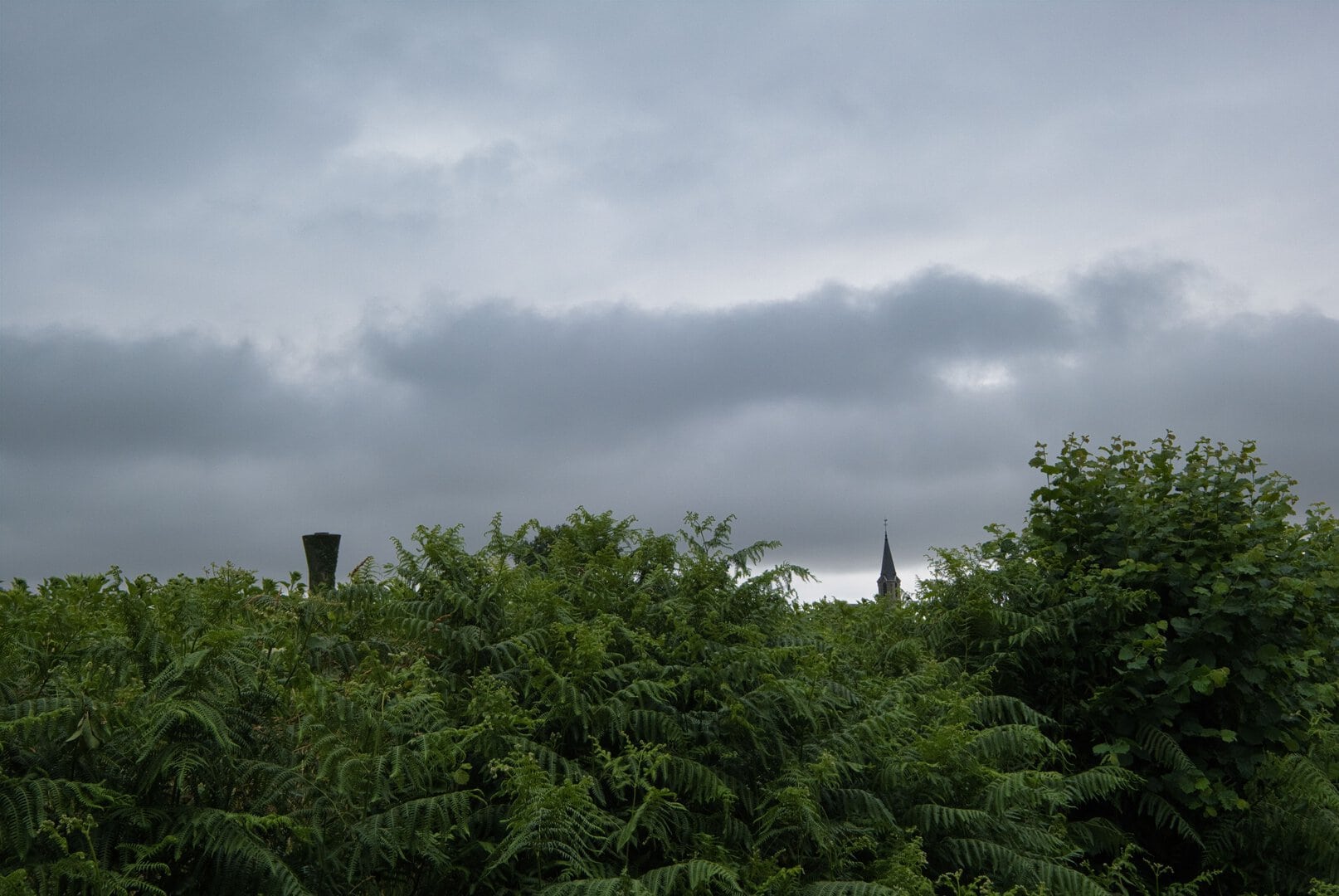 à l'approche de Ste-Sévère-sur-Indre